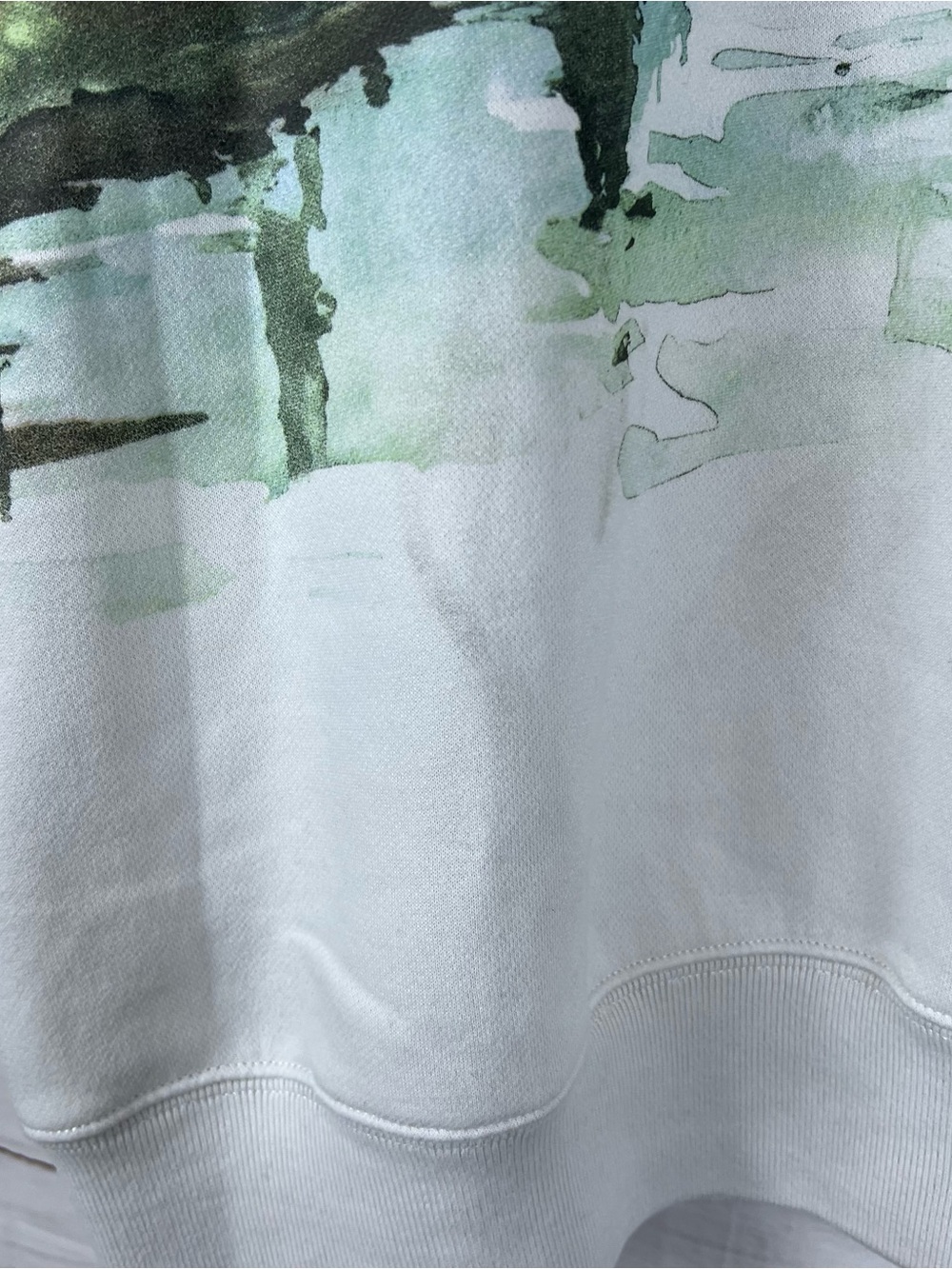 Abercrombie & Fitch Women’s Oversized Soft Fleece Horse Scene Sweatshirt Large - Picture 8 of 11